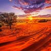 Kalahari Desert At Sunset diamond painting