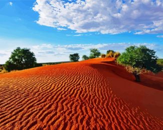 Kalahari Desert Landscape diamond painting