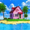 Kame House Master Roshi diamond painting