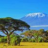 Kenya Landscape diamond painting