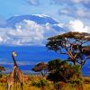 Kenya Mount Kilimanjaro And Giraffes diamond painting