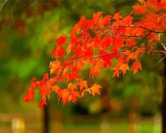 Leaves Foliage diamond painting