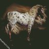 Leopard Appaloosa Horse diamond painting