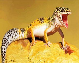 Leopard Gecko diamond painting