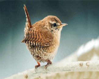 Little Wren Bird diamond painting