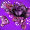 Magical Violet Rose diamond painting