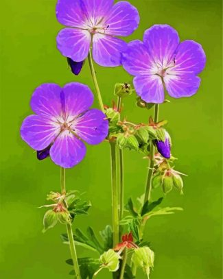 Meadow Cranesbill diamond painting