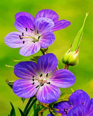 Meadow Cranesbill Wild Flowers diamond painting