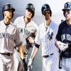 New York Yankees Team diamond painting