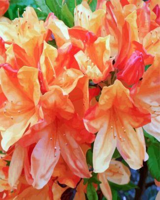 Orange Azaleas Flowers diamond painting