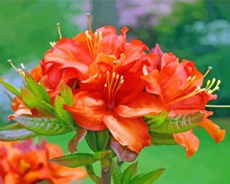 Orange Azaleas diamond painting