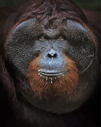 Orangutan Close Up Face diamond painting