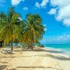 Pigeon Point Beach Trinidad diamond painting