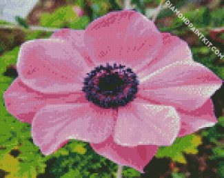 Pink Anemone diamond painting