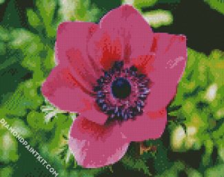 Pink Anemone Flower diamond painting