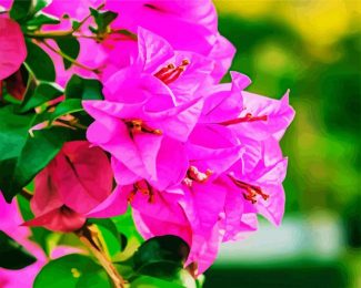 Pink Bougainvillea diamond painting