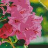 Pink Bougainvillea diamond painting