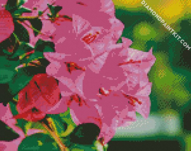 Pink Bougainvillea diamond painting