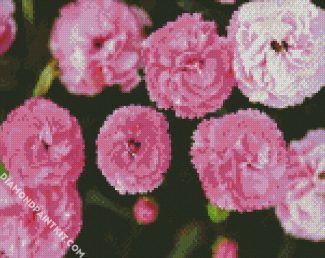 Pink Carnation Flowers diamond painting