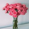 Pink Carnation Vase diamond painting