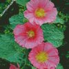 Pink Hollyhocks diamond painting