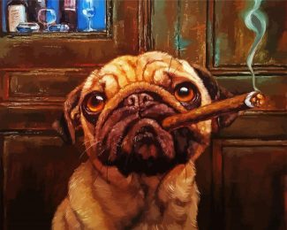 Pug Smoking Cigar diamond painting