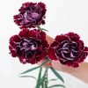 Purple Carnation Flowers diamond painting