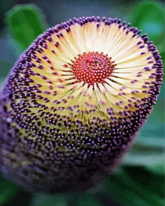 Purple Banksia diamond painting