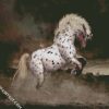 Rearing Appaloosa Horse diamond painting