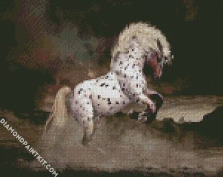 Rearing Appaloosa Horse diamond painting