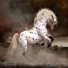 Rearing Appaloosa Horse diamond painting