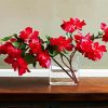 Red Bougainvillea diamond painting