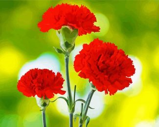 Red Carnation Flowers diamond painting