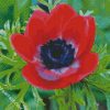 Red Anemone diamond painting