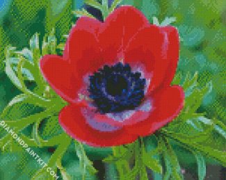 Red Anemone diamond painting