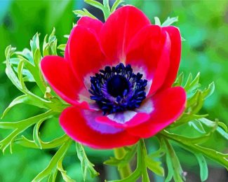 Red Anemone diamond painting