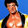 Rocky Balboa By Sylvester Stallone diamond painting