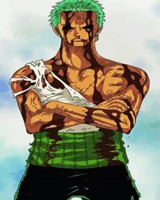 Roronoa Zoro Anime diamond painting