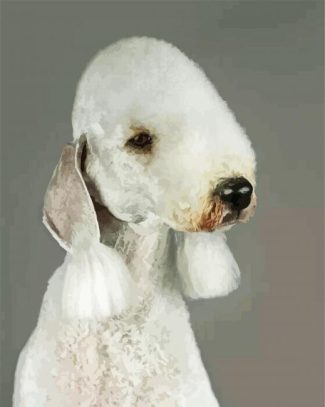 Sad Bedlington diamond painting