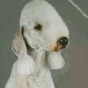 Sad Bedlington diamond painting