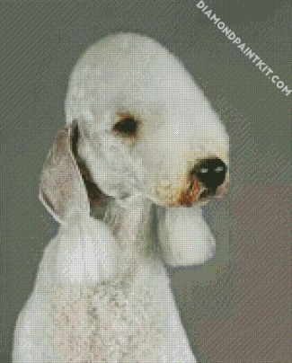 Sad Bedlington diamond painting