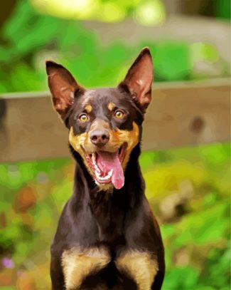 The Australian Kelpie diamond painting