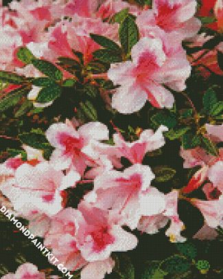 The Azaleas Pink Flowers diamond painting