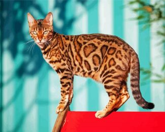 The Bengal Cat diamond painting