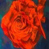 The Velvet Rose diamond painting