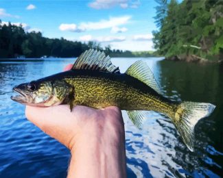 The Walleye Fish diamond painting