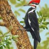 The Woodpecker Bird diamond painting