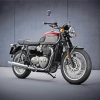 Triumph diamond painting