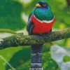 Trogon diamond painting