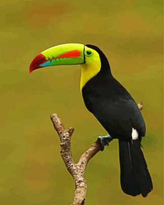 Toucan diamond painting